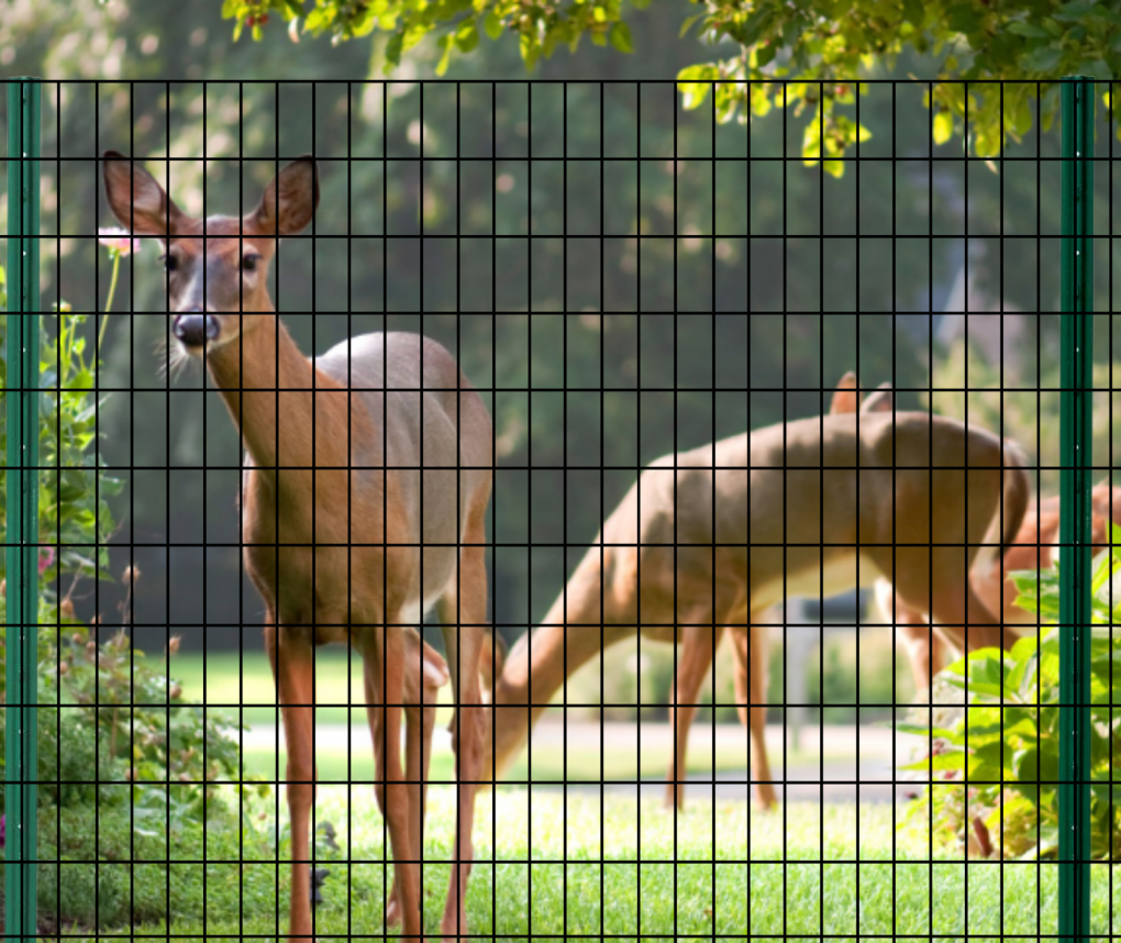 deer Fence